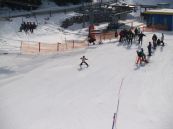 Skibewerb 2011