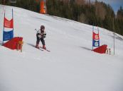 Skibewerb 2011