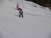 Skibewerb 2011