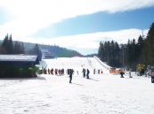 Skibewerb 2011