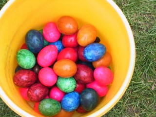 Ja zum Gl&uuml;ck wurden alle 58 Eier wieder gefunden  :-)