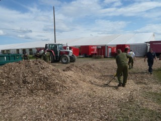 Hackschnitzel über Hackschnitzel