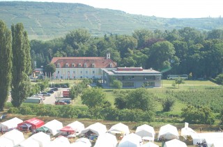 wunderschönes Langenlois von oben