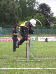 Sprung über die Hürde