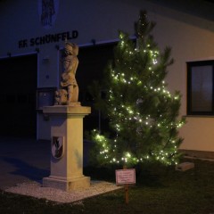 Baum beleuchtet